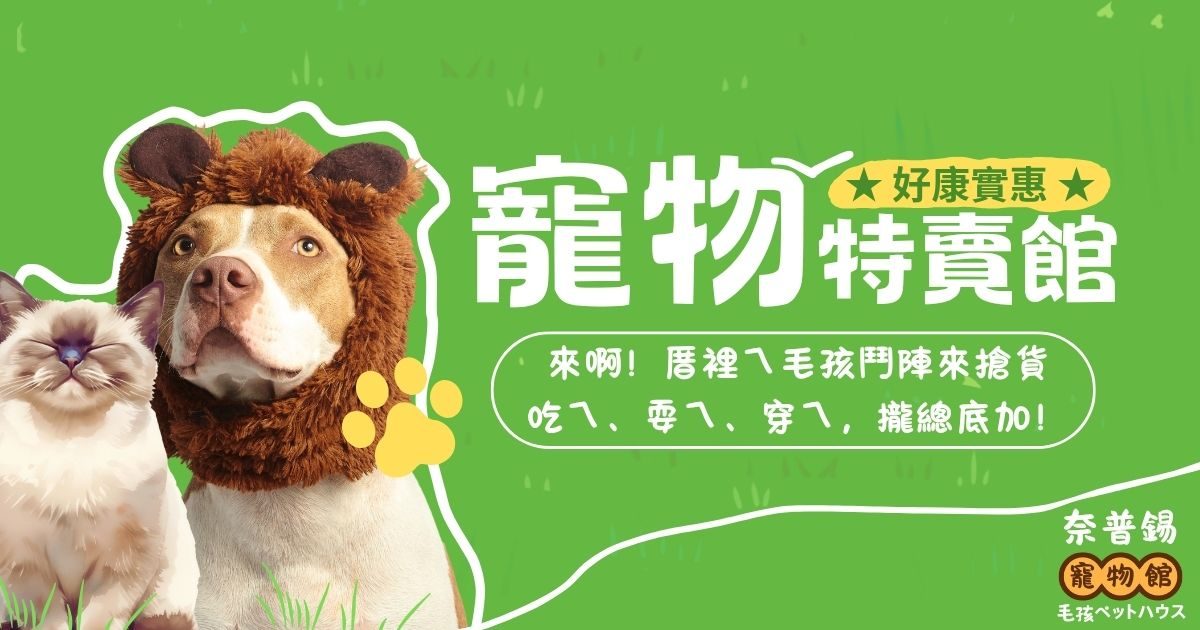 網站寵物封面